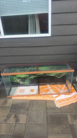 55 gallon fish/ reptile tank