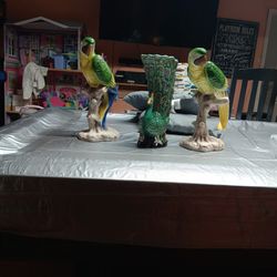 2parrots And A Peacock 