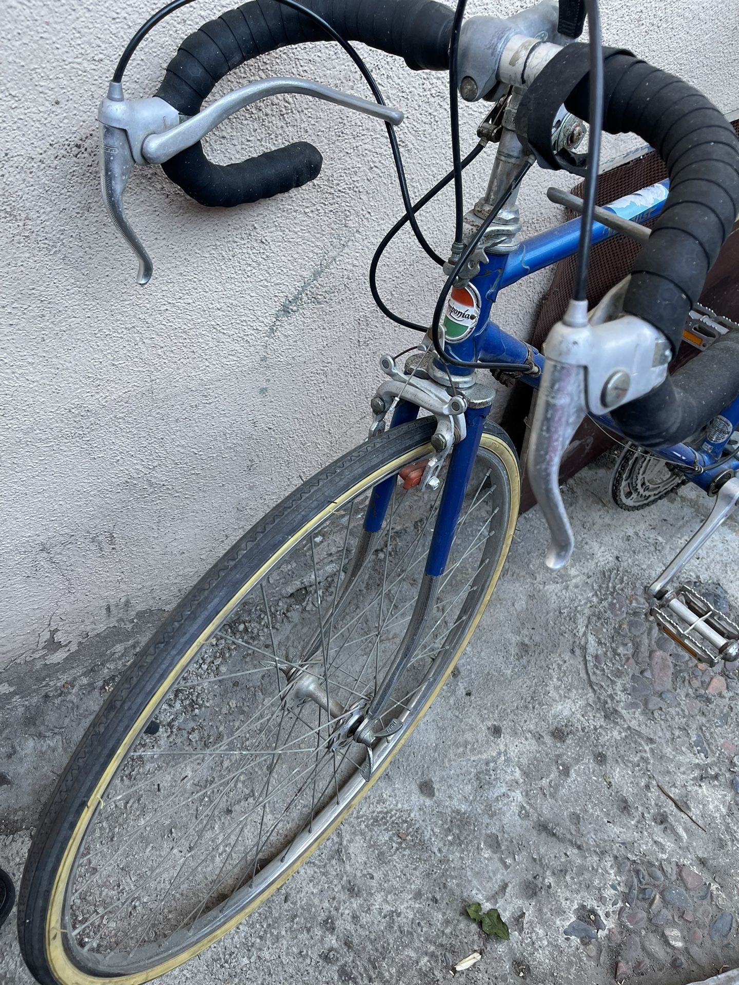 VINTAGE CAMPANIA ROAD BIKE