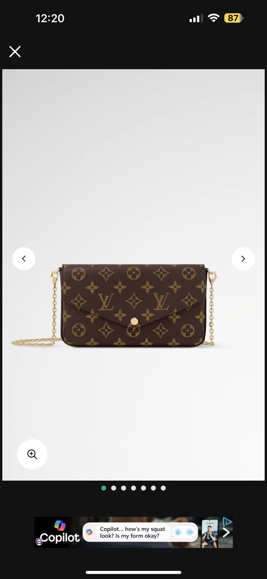Louis Vuitton Purse