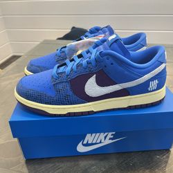 Nike Dunk Undefeated 5 On It