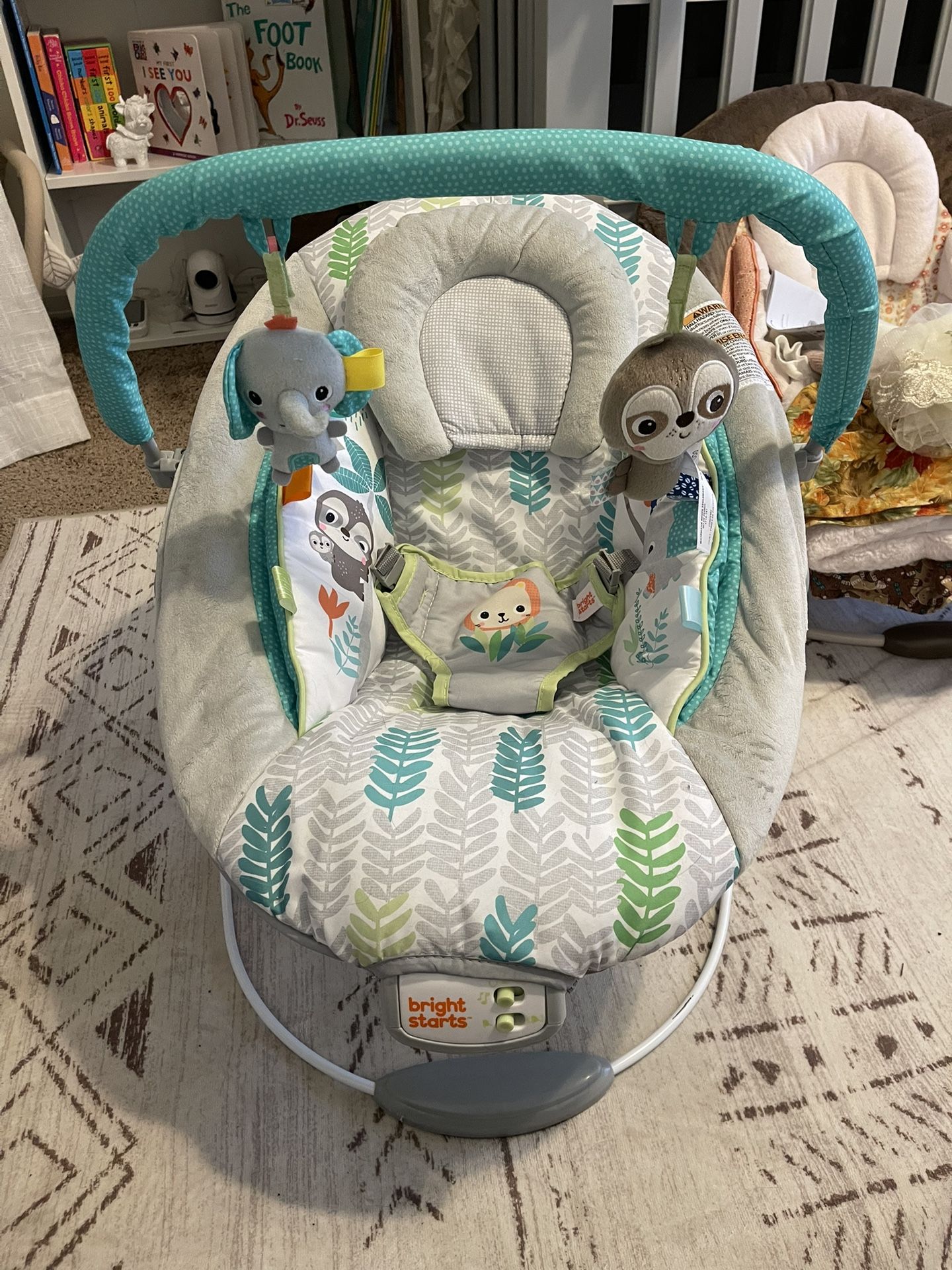 Bright Starts Baby Bouncer