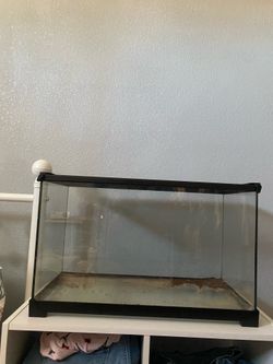 tank for reptile