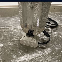 Grow Light 