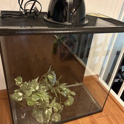 Reptile Tank 