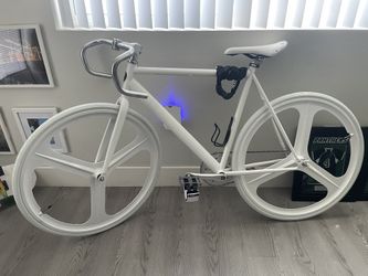 Single Speed/Fixed Gear Bike