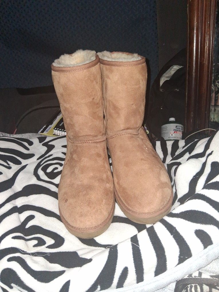 Uggs Boots 