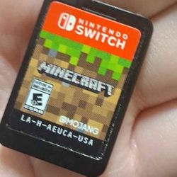Nintendo  Switch Minecraft Game
