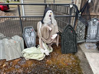 Halloween Decorations (assorted)