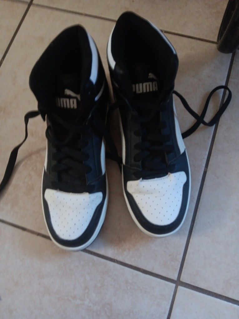 Puma