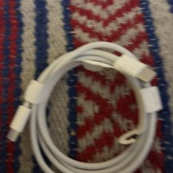 Apple Type C Charger 