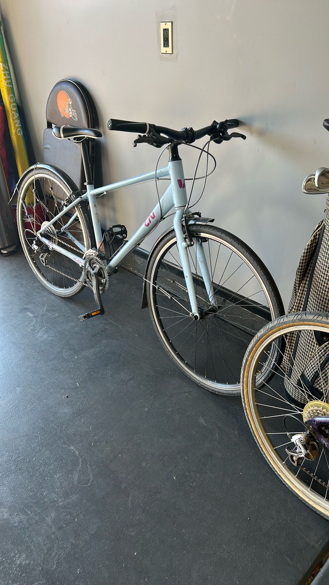 Liv Flight Giant Brand Bike 