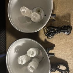 fluorescent studio lights (2) no stands