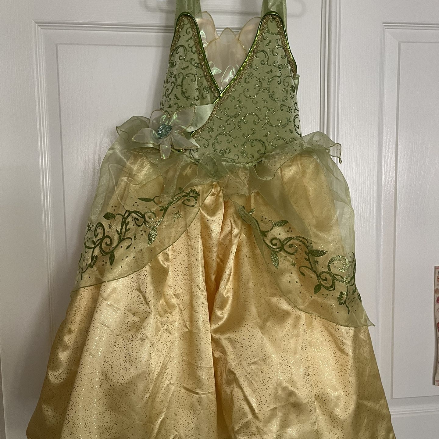 princess tiana dress up Adult Gowns - and the Frog Inspired - Disney Princess - Princess Ballgown The Halloween Costume has lace up stripes at the back so it can be adjusted as much as needed Disney Princess Tiana Dress up