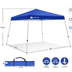 Canopy (Great Condition) $40