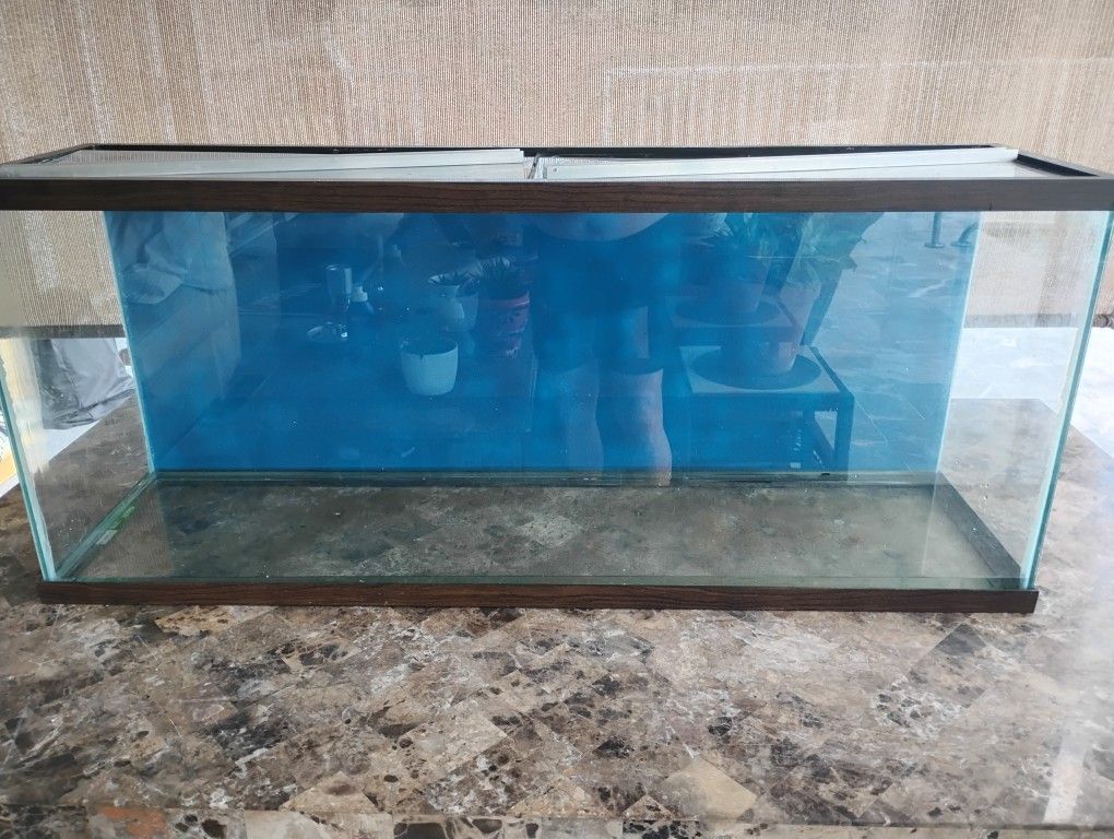 55 Gallon Aquarium