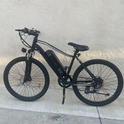 Isinwheel E-bike