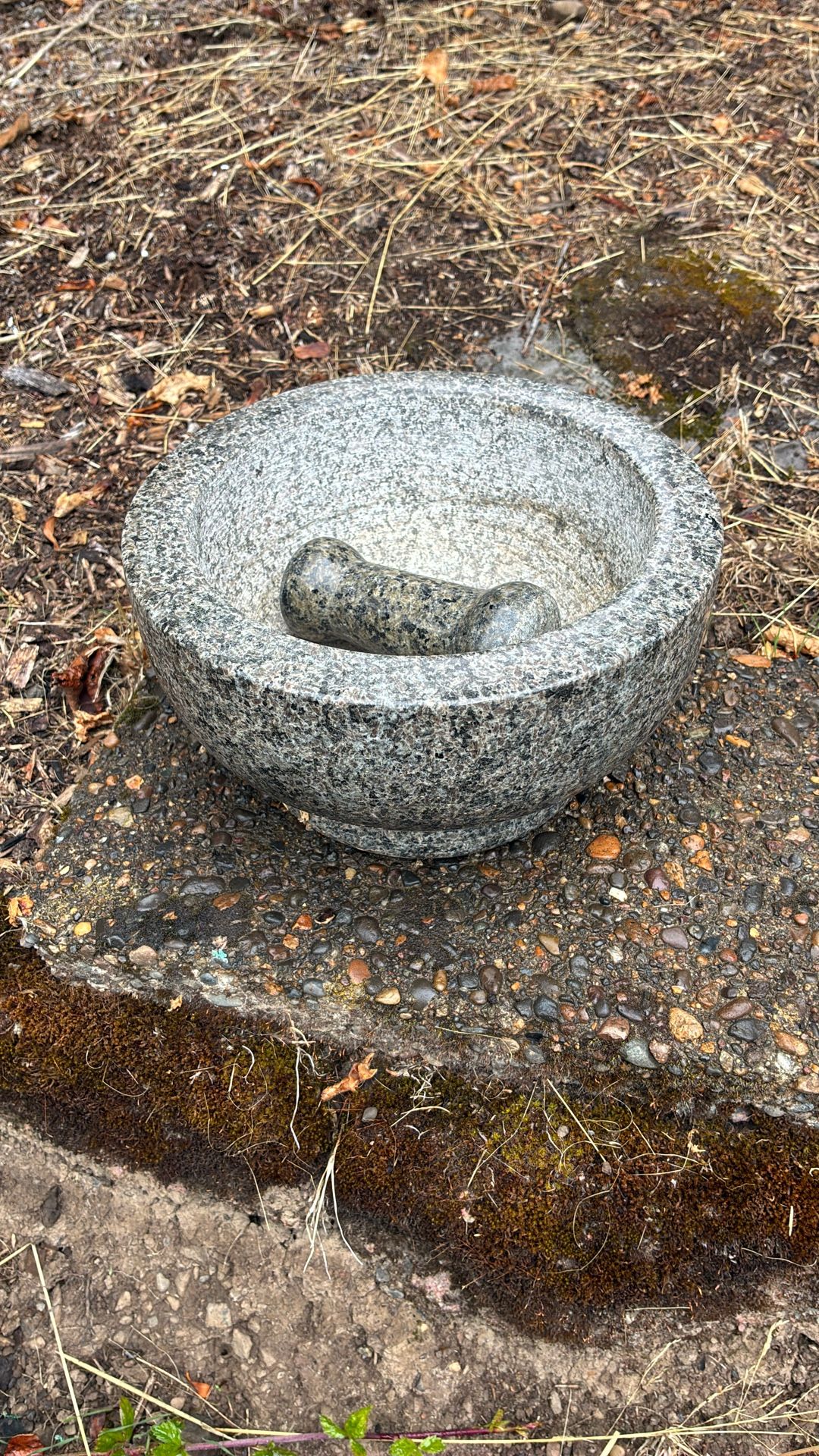 Mortar And Pestle 9 Inch Very Heavy