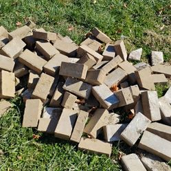 Paving Bricks