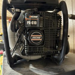 Echo PB-610