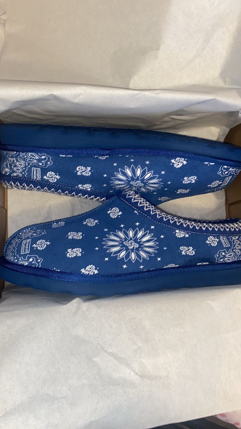 Bravest Slippers