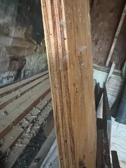 Unused miscellaneous lumber, and plywood