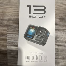 GoPro 13