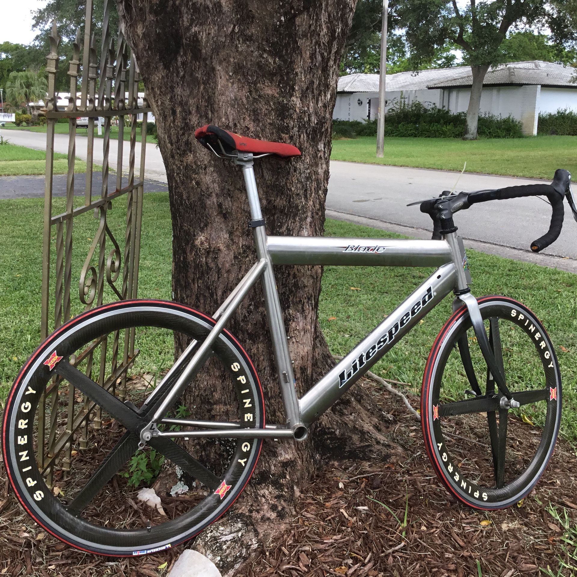 Litespeed Blade Titanium Bicycle 22” frame