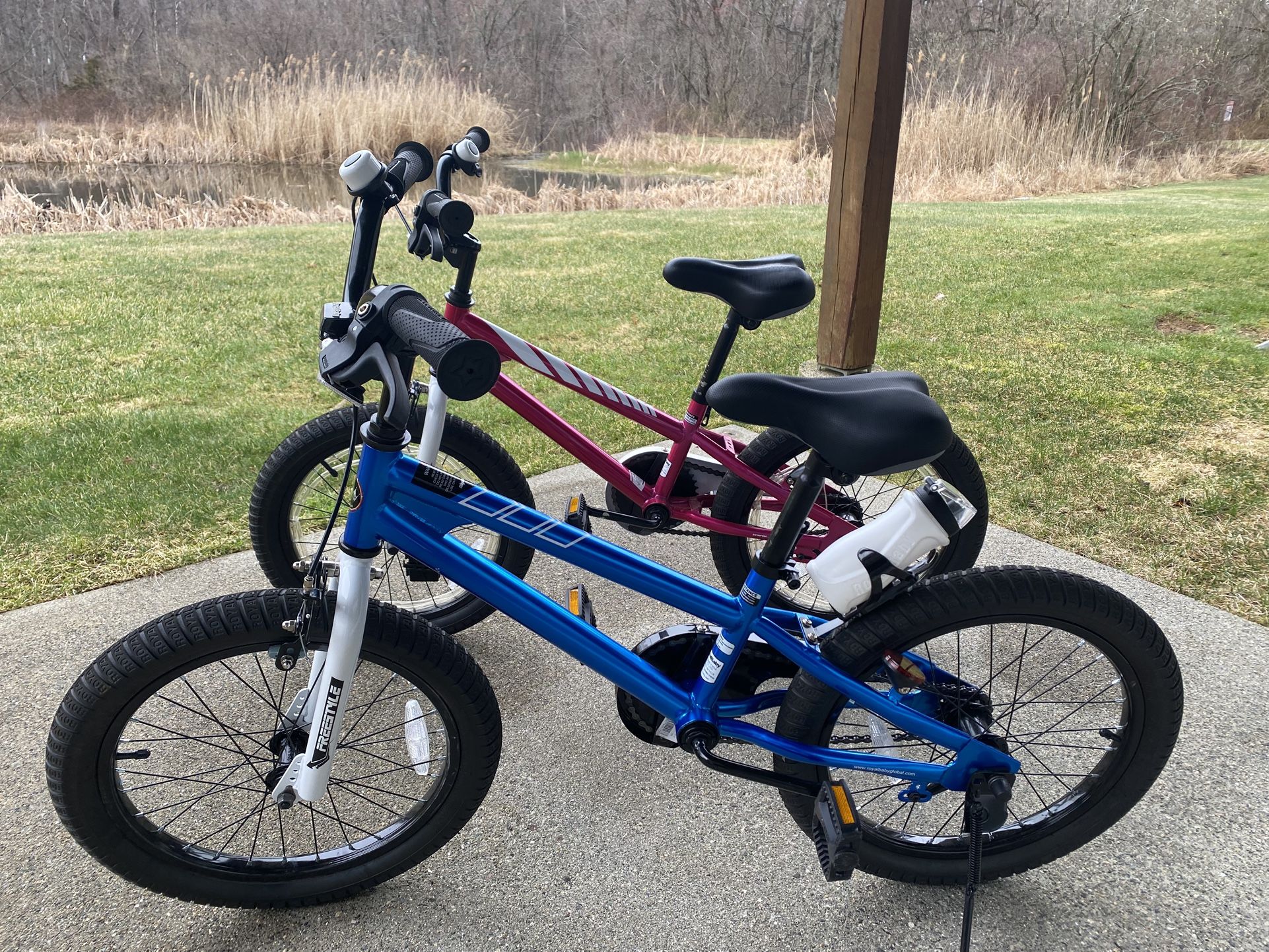 RoyalBaby Kids Bike EZ Freestyle Training Free Balance to Pedal Easy Learning Bicycle 18” (2)