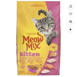 Kitten Supplies 