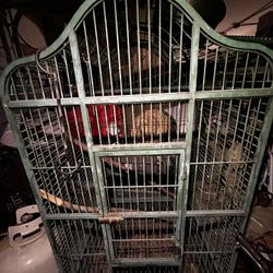 Bird cage