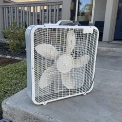 Fans (3 for $20)