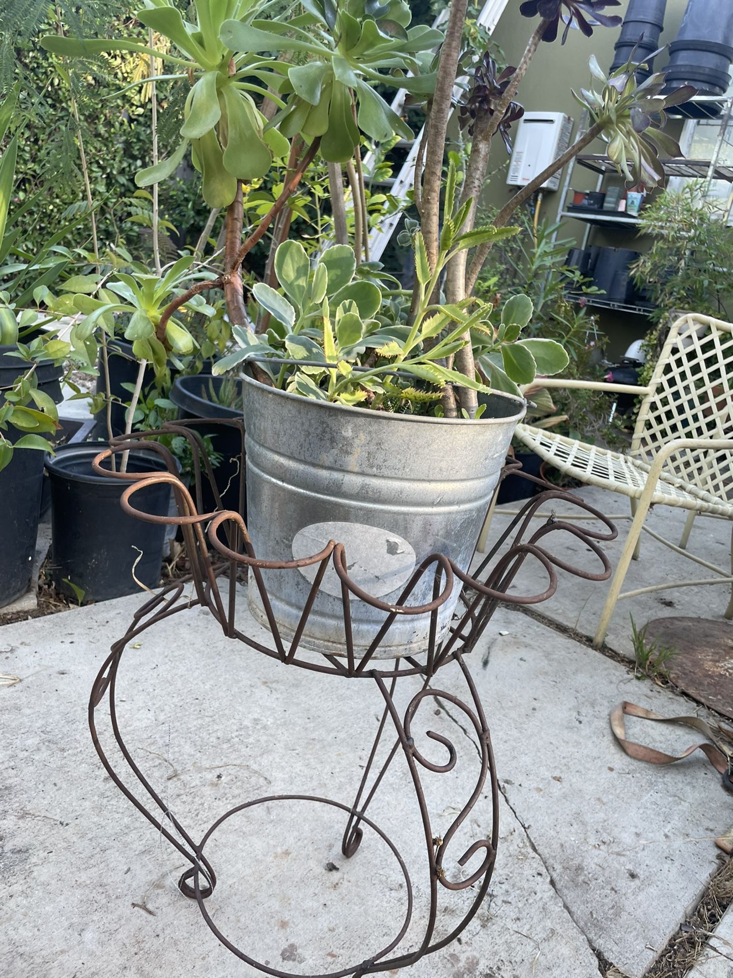 Plant Stand And Plant