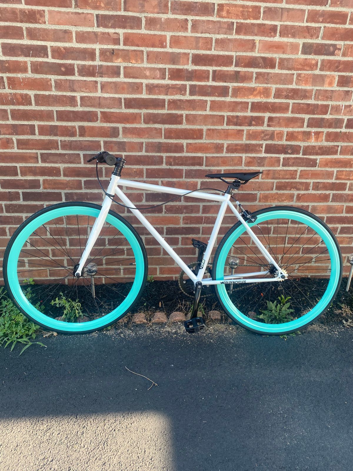 Golden Cycles Shocker Fixie Bike - White/Celeste / 45