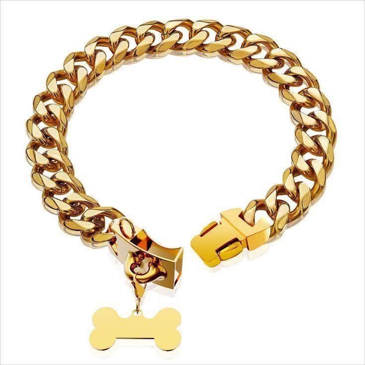 Frenchie Gold China