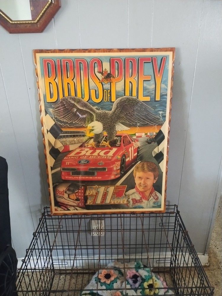 Birds Of Prey Picture Bill Elliott Edition 