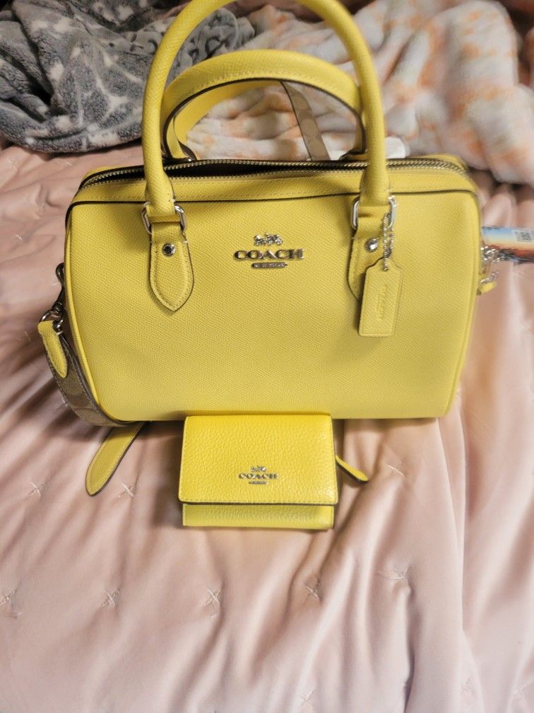 Coach Bag and Wallet