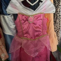 Sleeping Beauty Dress Custome