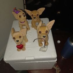 Taco Bell Dogs ...............make A Offer
