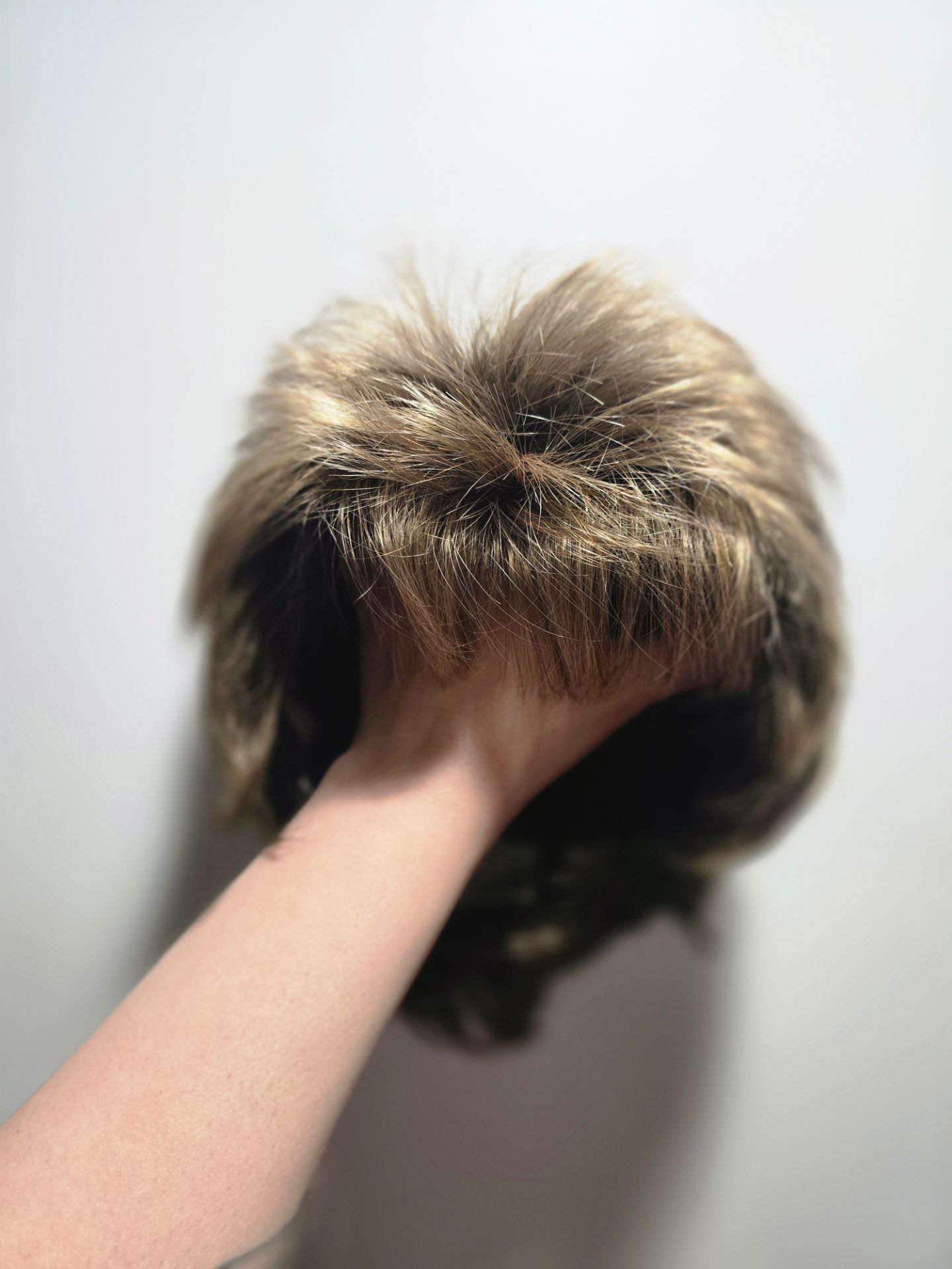 NEW Envy Wigs "PT Jacqueline" Pixie Wig – Toasted Sesame (Petite Cap)