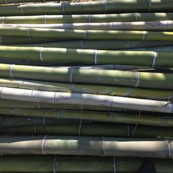 Timber Bamboo For Sale By The Foot Or By The Pole
