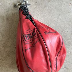 Everlast Genuine Cowhide Speed Bag 
