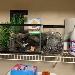2 Fish Tank 