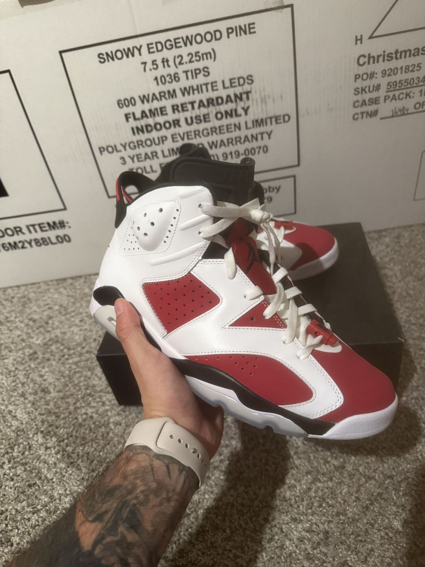 Jordan 6 Carmine
