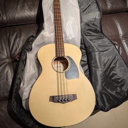 Brand New Electroacoustic Bass Guitar Ibanez Performance
