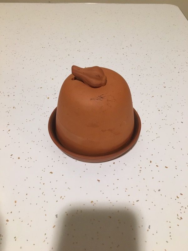 Romertopf Glazed Garlic Roaster (Made in Germany) 10 OBO for Sale in