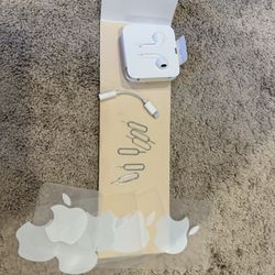 Apple EarPods, Lightning to 3.5mm Adapter, SIM Tools, and Stickers