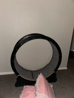 Cat Wheel for sale