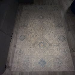 Beautiful Area Rug 7.7ft Long