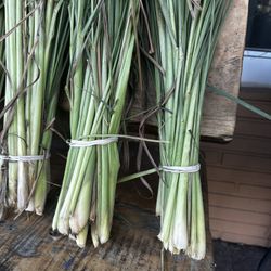 Lemongrass Stalks